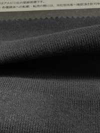 1078650 ALBINI RETWIST 30/1 Circular Rib[Textile / Fabric] TAKISADA NAGOYA Sub Photo