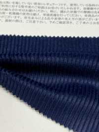 13475 8W Indigo Corduroy (Regular)[Textile / Fabric] SUNWELL Sub Photo