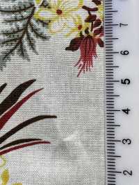 4242 Broadcloth Stylish Relax Tropical Sea[Textile / Fabric] VANCET Sub Photo
