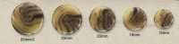 BFNH2 Urea Resin Button With Four Holes On The Front.[Buttons] IRIS Additional Images