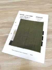 RN2520 1/25 Linen Canvas - Wide Width Plat Air In[Textile / Fabric] KOYAMA Sub Photo