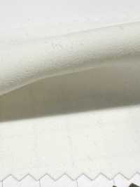 86317 Compact Double Satin Light[Textile / Fabric] Parika Sub Photo