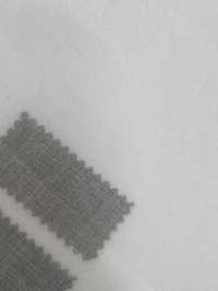 11572 80 Single Thread Ramie Cotton[Textile / Fabric] SUNWELL Sub Photo