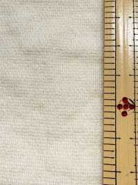 BC1867 Leno Weave Weave Dot Mesh[Textile / Fabric] COSMO TEXTILE Sub Photo