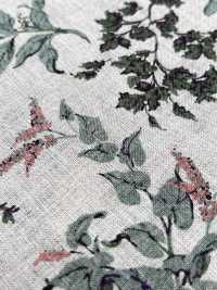 7027-720-2 100% Linen Loomstate Angel Soft Leaf Fruit[Textile / Fabric] HOKKOH Sub Photo