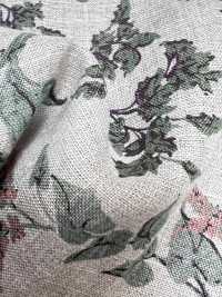 7027-720-2 100% Linen Loomstate Angel Soft Leaf Fruit[Textile / Fabric] HOKKOH Sub Photo