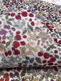7027-618-1 60 Lawn 9088 Berry Pattern[Textile / Fabric] HOKKOH Sub Photo