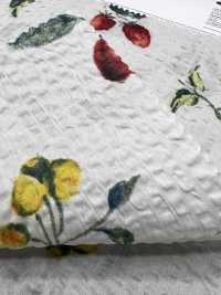 7027-630-5 80 Lawn Miracle Wave Fruit[Textile / Fabric] HOKKOH Additional Images