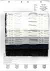 7027-636-2 80 Lawn Organza Waffle Stripe