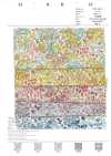 7027-640-1 80 Lawn Small Floral Pattern