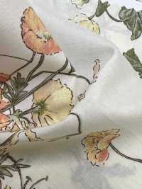 7027-640-5 80 Lawn Botanical[Textile / Fabric] HOKKOH Sub Photo