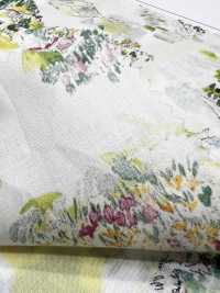 3027-650-10 60 Lawn Scene[Textile / Fabric] HOKKOH Sub Photo