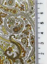 3027-650-13 60 Lawn Paisley[Textile / Fabric] HOKKOH Sub Photo