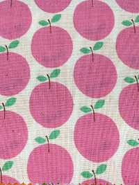 850612 Lawn Unbleached Cotton Little Pocket "Rindo"[Textile / Fabric] VANCET Sub Photo