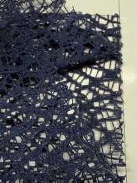 JL1951 Wide Width Frosted Lace[Textile / Fabric] Suncorona Oda Sub Photo