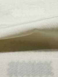 DWFM-DCGAEH0038W Tencel™ Cotton Lawn[Textile / Fabric] Sub Photo