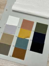 PSW2650 Light Moleskin[Textile / Fabric] KOYAMA Additional Images