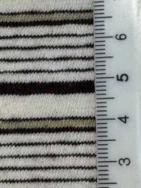 W-50010 Sleepover Horizontal Stripe[Textile / Fabric] Minami Additional Images