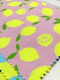 AP65103 Fluorescent Print Oxford (Roll)[Textile / Fabric] COSMO TEXTILE Additional Images
