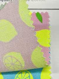 AP65103 Fluorescent Print Oxford (Roll)[Textile / Fabric] COSMO TEXTILE Additional Images
