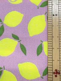 AP65103 Fluorescent Print Oxford (Roll)[Textile / Fabric] COSMO TEXTILE Additional Images