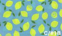 AP65103 Fluorescent Print Oxford (Roll)[Textile / Fabric] COSMO TEXTILE Additional Images