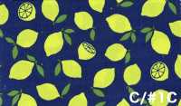 AP65103 Fluorescent Print Oxford (Roll)[Textile / Fabric] COSMO TEXTILE Additional Images