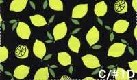 AP65103 Fluorescent Print Oxford (Roll)[Textile / Fabric] COSMO TEXTILE Additional Images