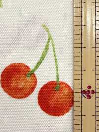 SP2650 Fruits Garden Oxford (Roll)[Textile / Fabric] COSMO TEXTILE Additional Images