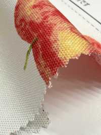 SP2650 Fruits Garden Oxford (Roll)[Textile / Fabric] COSMO TEXTILE Additional Images