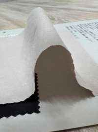 PSW4011 40/1 C/N Water-Repellent Down Proof[Textile / Fabric] KOYAMA Additional Images