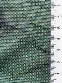 NY-DOB-CHU Nylon Dobby Chusen Dyeing[Textile / Fabric] HOKKOH Additional Images