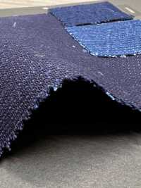 ASAGI-SASHI2KB Light Blue Sashiko Greige Double Weave[Textile / Fabric] HOKKOH Additional Images