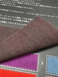 FJ430030 HIYORI Cotton 80/Typewriter Hamakaze Weave[Textile / Fabric] Fujisaki Textile Additional Images