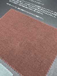 FJ6095 HIYORI Organic Cotton Lawn[Textile / Fabric] Fujisaki Textile Additional Images