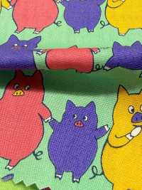 850618 Broadcloth Crazy Rabuta[Textile / Fabric] VANCET Additional Images