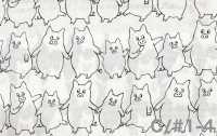 850618 Broadcloth Crazy Rabuta[Textile / Fabric] VANCET Additional Images