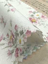 850621 Lawn Unbleached Cotton Rurudiroman Delicate Bloom[Textile / Fabric] VANCET Additional Images