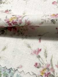 850621 Lawn Unbleached Cotton Rurudiroman Delicate Bloom[Textile / Fabric] VANCET Additional Images