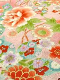 850628 Lawn Floral Gold Japanese Pattern, Peony, Chrysanthemum, Hollyhock And Drum[Textile / Fabric] VANCET Additional Images
