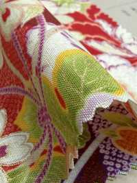 850629 Lawn Flower And Gold Japanese Pattern, Flower, Butterfly, Wind, Moon[Textile / Fabric] VANCET Additional Images