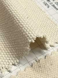 FKB08 Fujikinbai Cotton No. 8 Canvas, Greige[Textile / Fabric] Fujikinbai Additional Images
