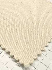 FKB09 Fujikinbai Cotton No. 9 Canvas Greige[Textile / Fabric] Fujikinbai Additional Images