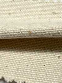 FKB09 Fujikinbai Cotton No. 9 Canvas Greige[Textile / Fabric] Fujikinbai Additional Images