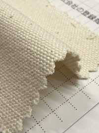 FKB10 Fujikinbai Cotton No. 10 Canvas Greige[Textile / Fabric] Fujikinbai Additional Images