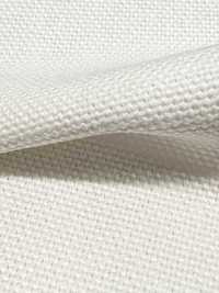 P1311 Fujikinbai Cotton No. 8 PFD For Printing[Textile / Fabric] Fujikinbai Additional Images