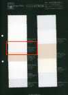 P1311 Fujikinbai Cotton No. 8 PFD For Printing