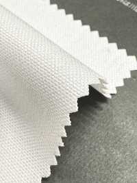P1313 Fujikinbai Cotton No. 11 Canvas, Printing-Ready Treated[Textile / Fabric] Fujikinbai Additional Images