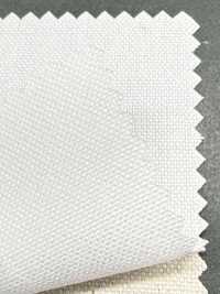 P1313 Fujikinbai Cotton No. 11 Canvas, Printing-Ready Treated[Textile / Fabric] Fujikinbai Additional Images