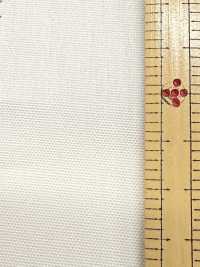 3300-2 Fujikinbai Cotton Heavy Weave No. 79 For Printing[Textile / Fabric] Fujikinbai Additional Images